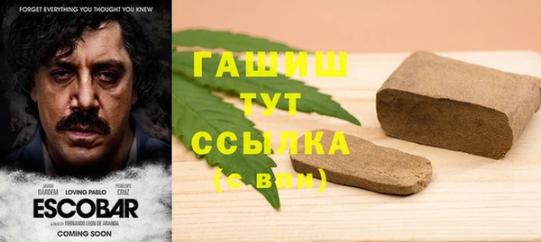 прущий лед Богданович