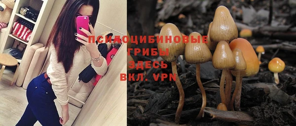 прущий лед Богданович