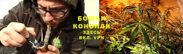 марки nbome Белокуриха