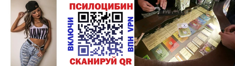 Псилоцибиновые грибы GOLDEN TEACHER  kraken зеркало  сайты даркнета Telegram  Мезень 